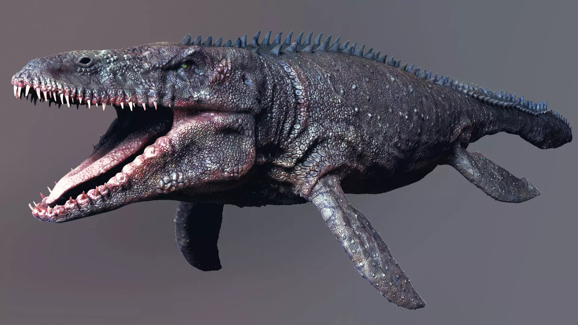 Dinosaur Mosasaurus Sculpt Project 3D model_0