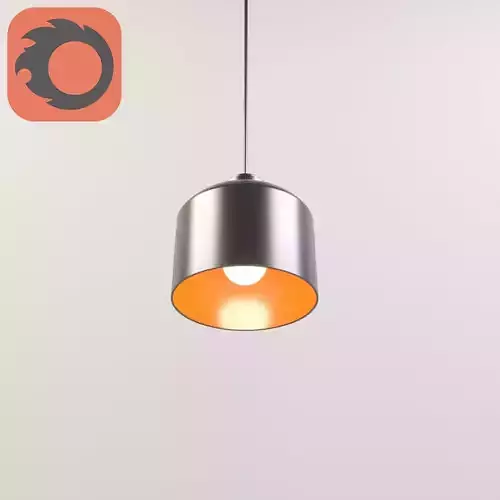Pendant Light