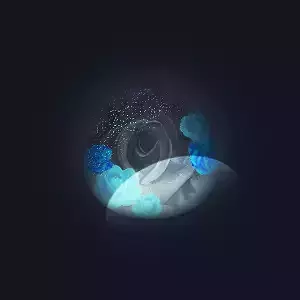 yeeees flower in night sky