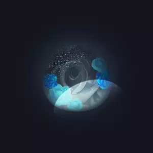 yeeees flower in night sky 3D model_0