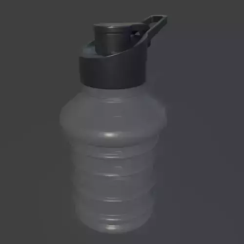 sports water bottle 