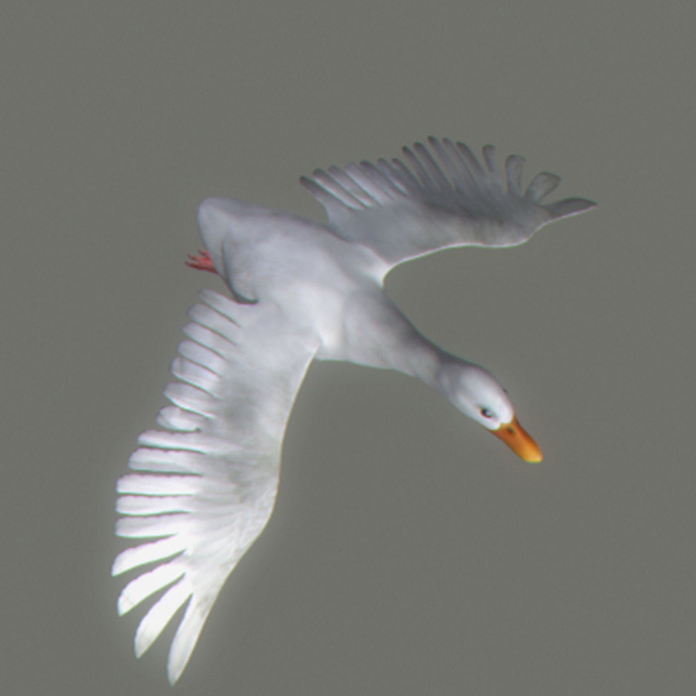 Animated Ducks 3D model_16