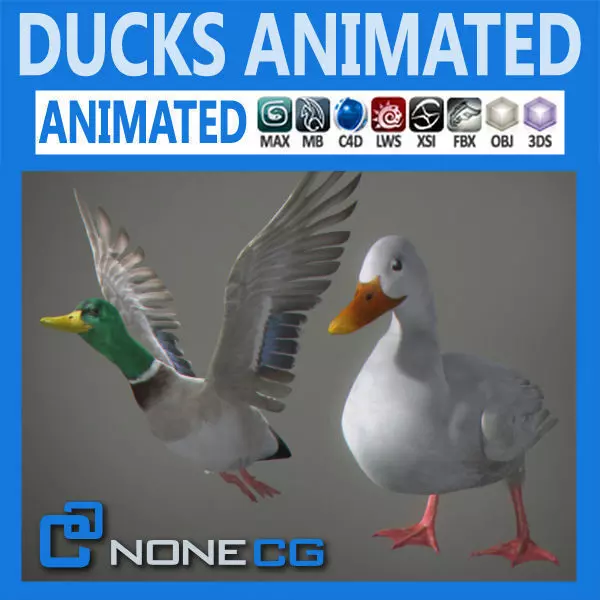 Animated Ducks 3D model_0