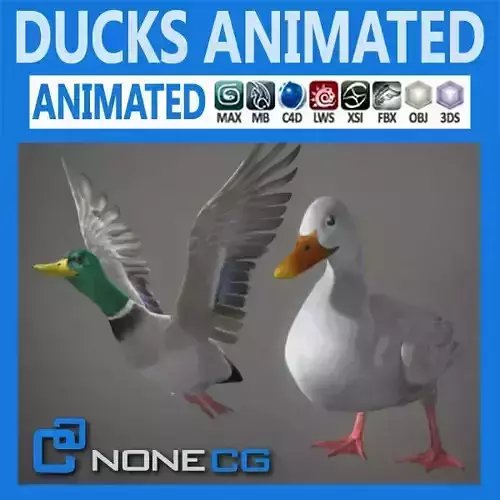 Animated Ducks 3D model