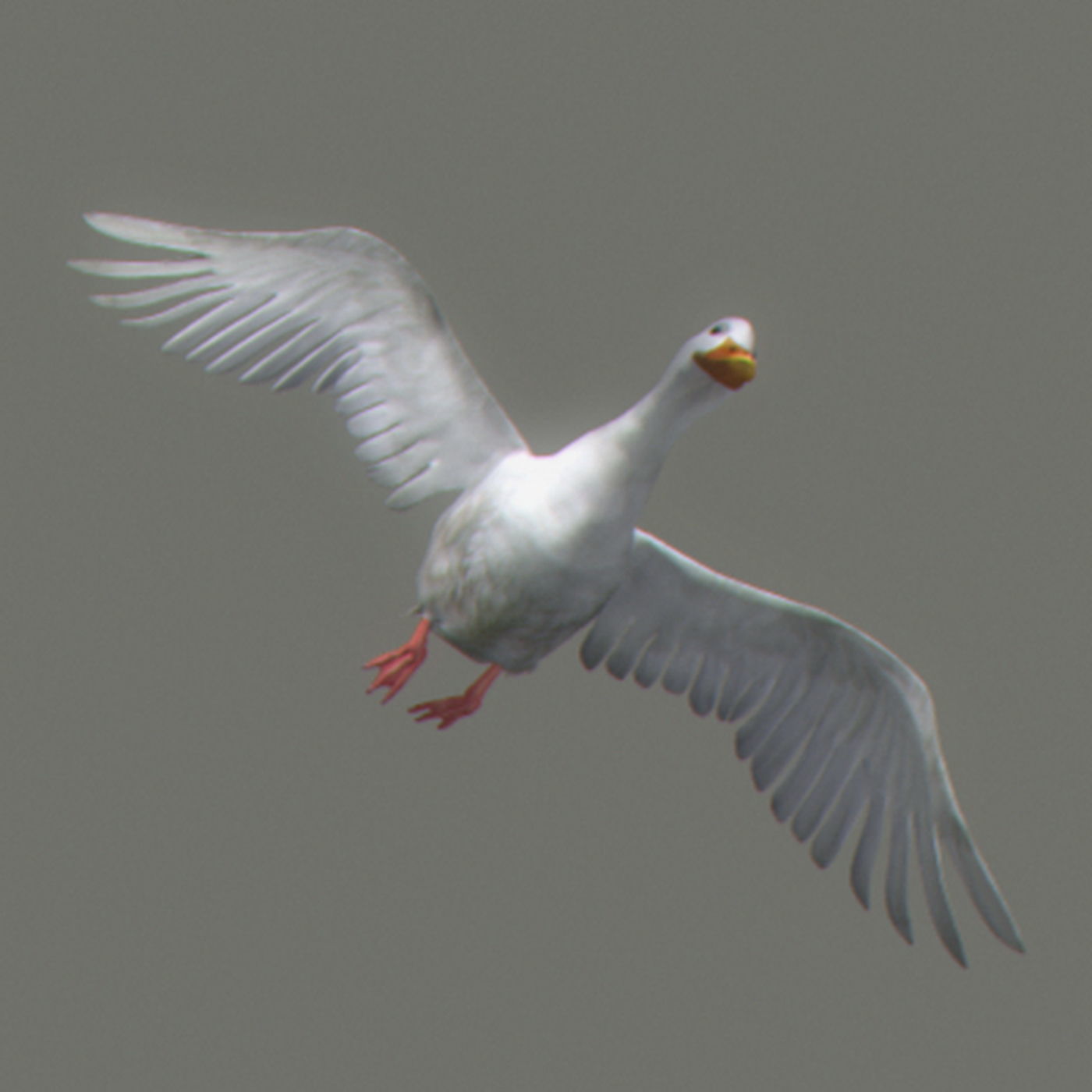 Animated Ducks 3D model_18