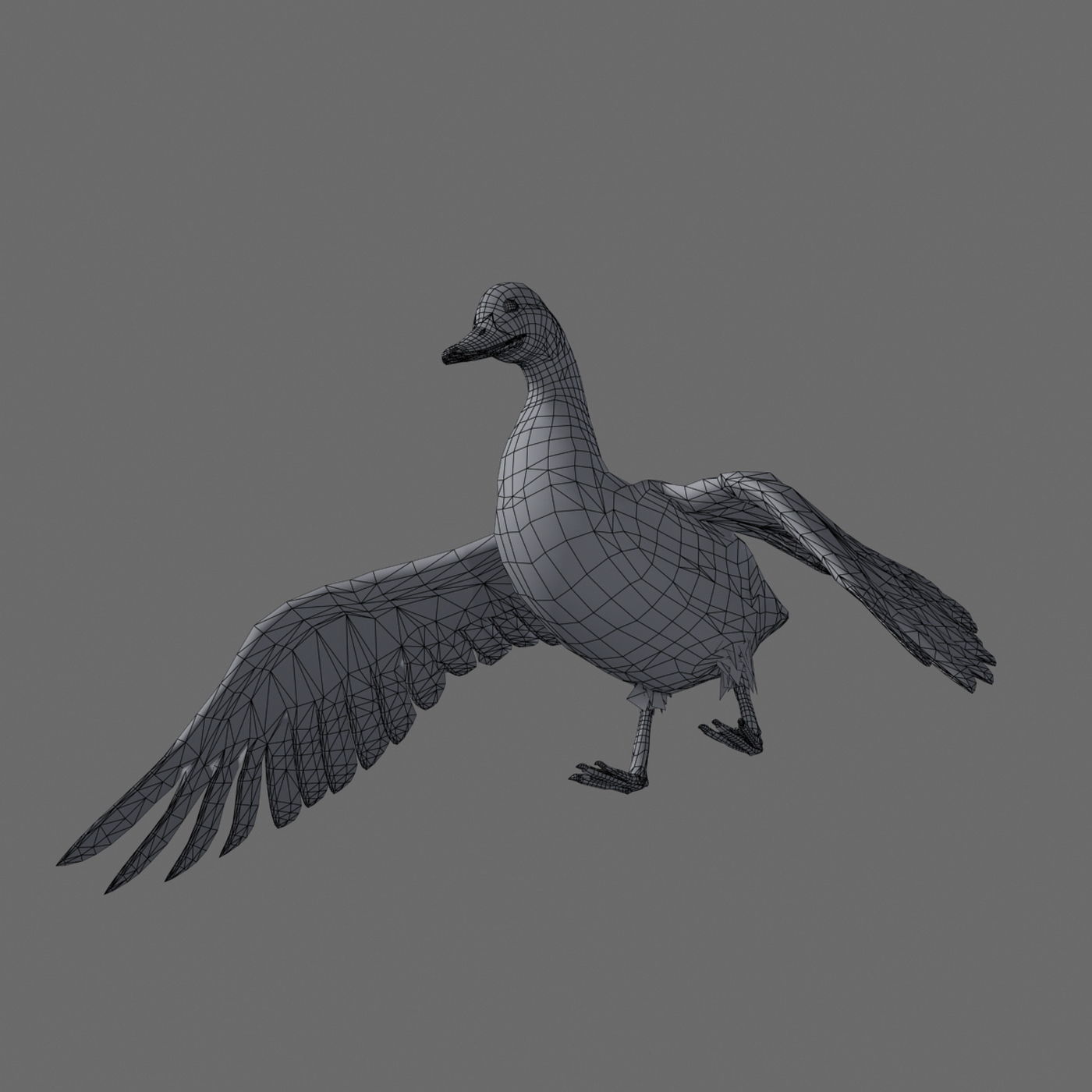 Animated Ducks 3D model_20
