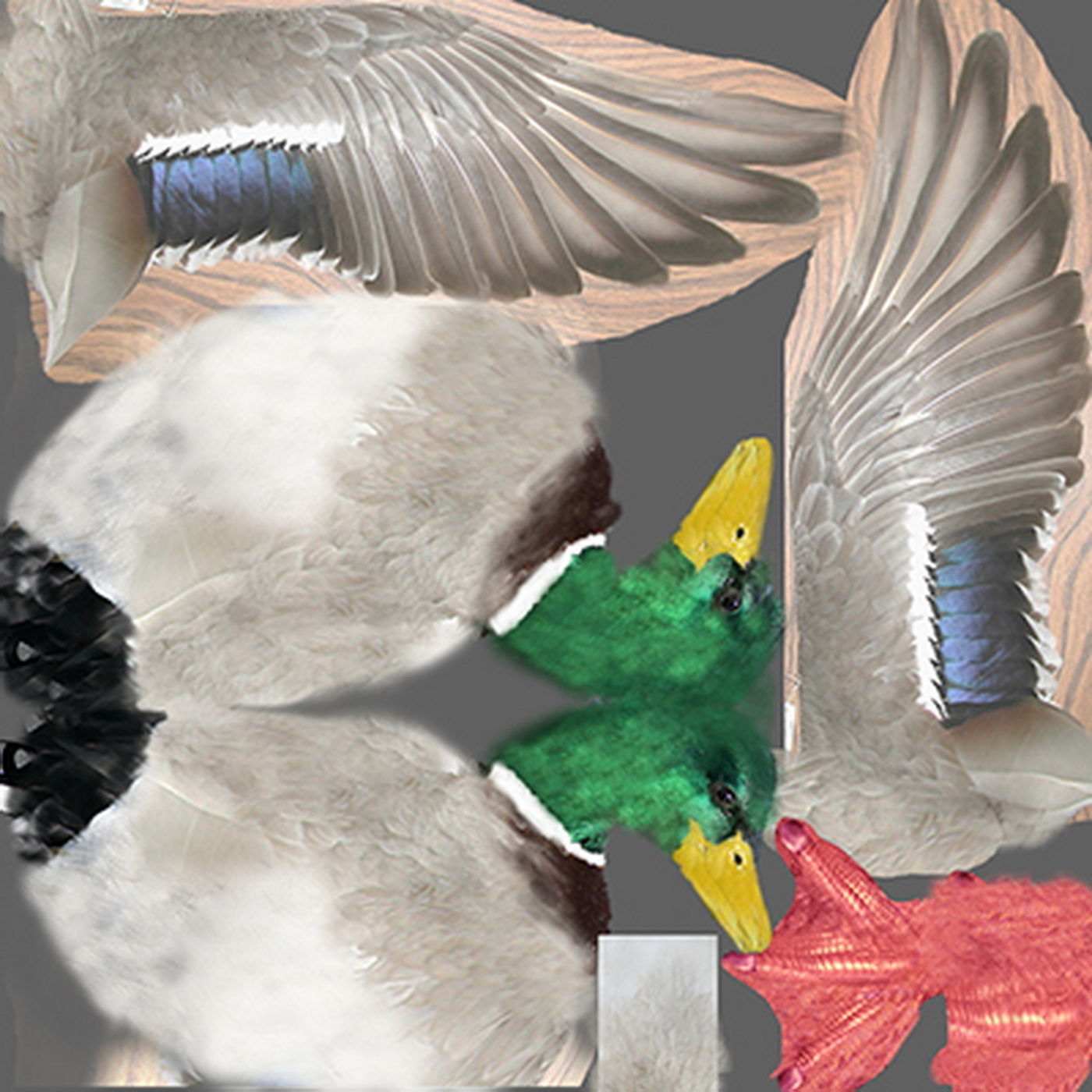 Animated Ducks 3D model_10