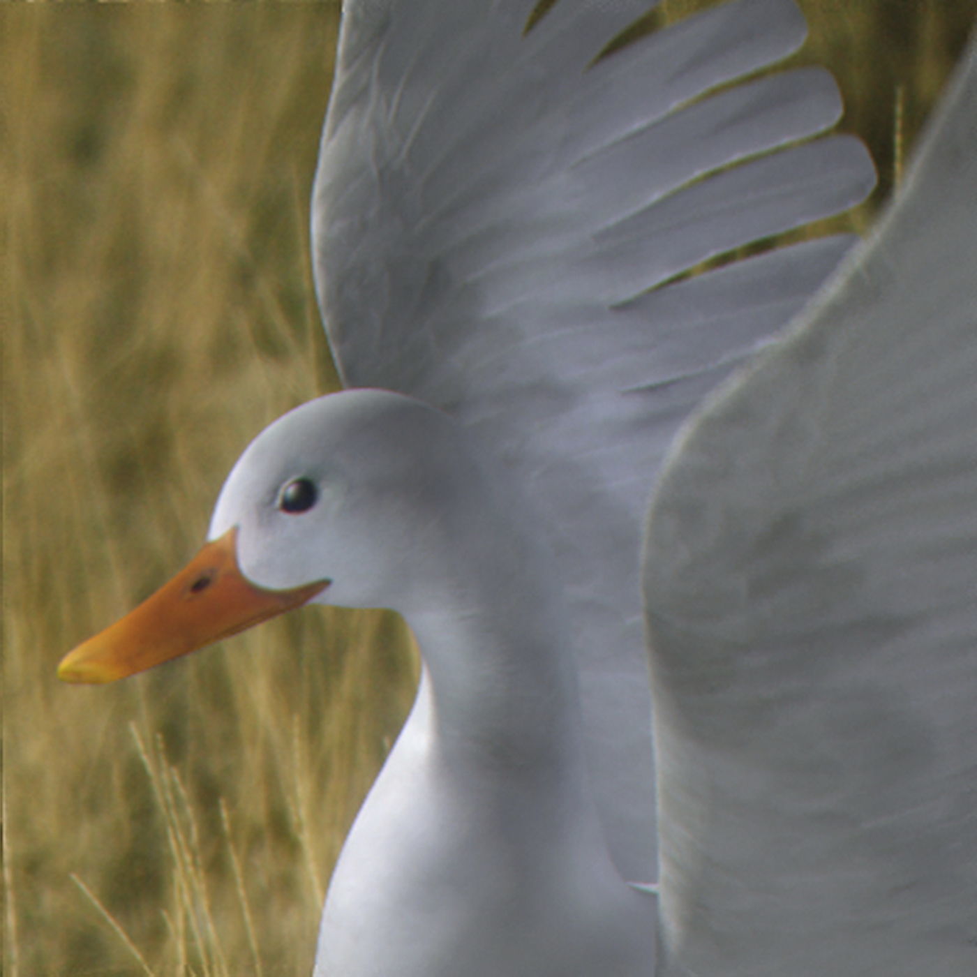 Animated Ducks 3D model_12