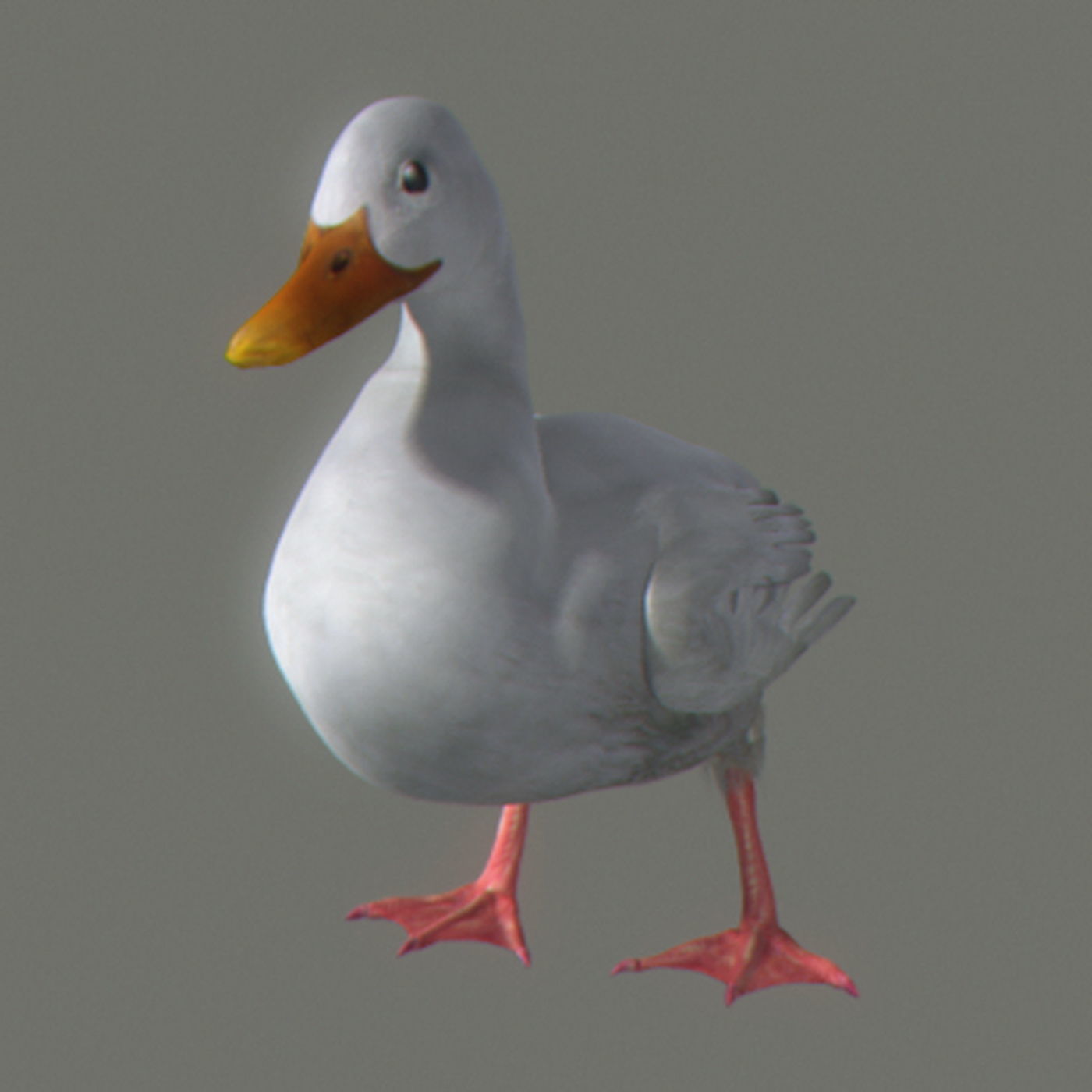 Animated Ducks 3D model_13