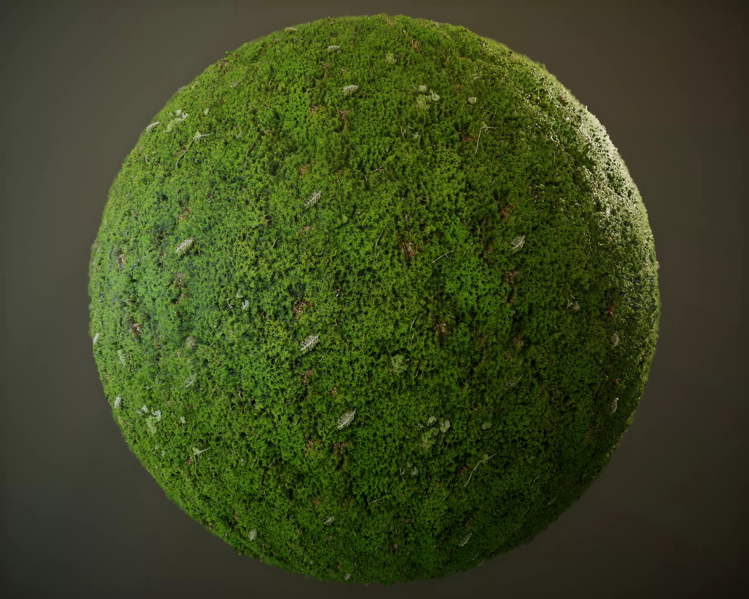 10 Seamless PBR Grass Textures Texture_0