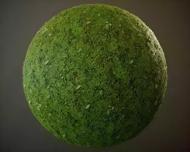 10 Seamless PBR  Grass Textures