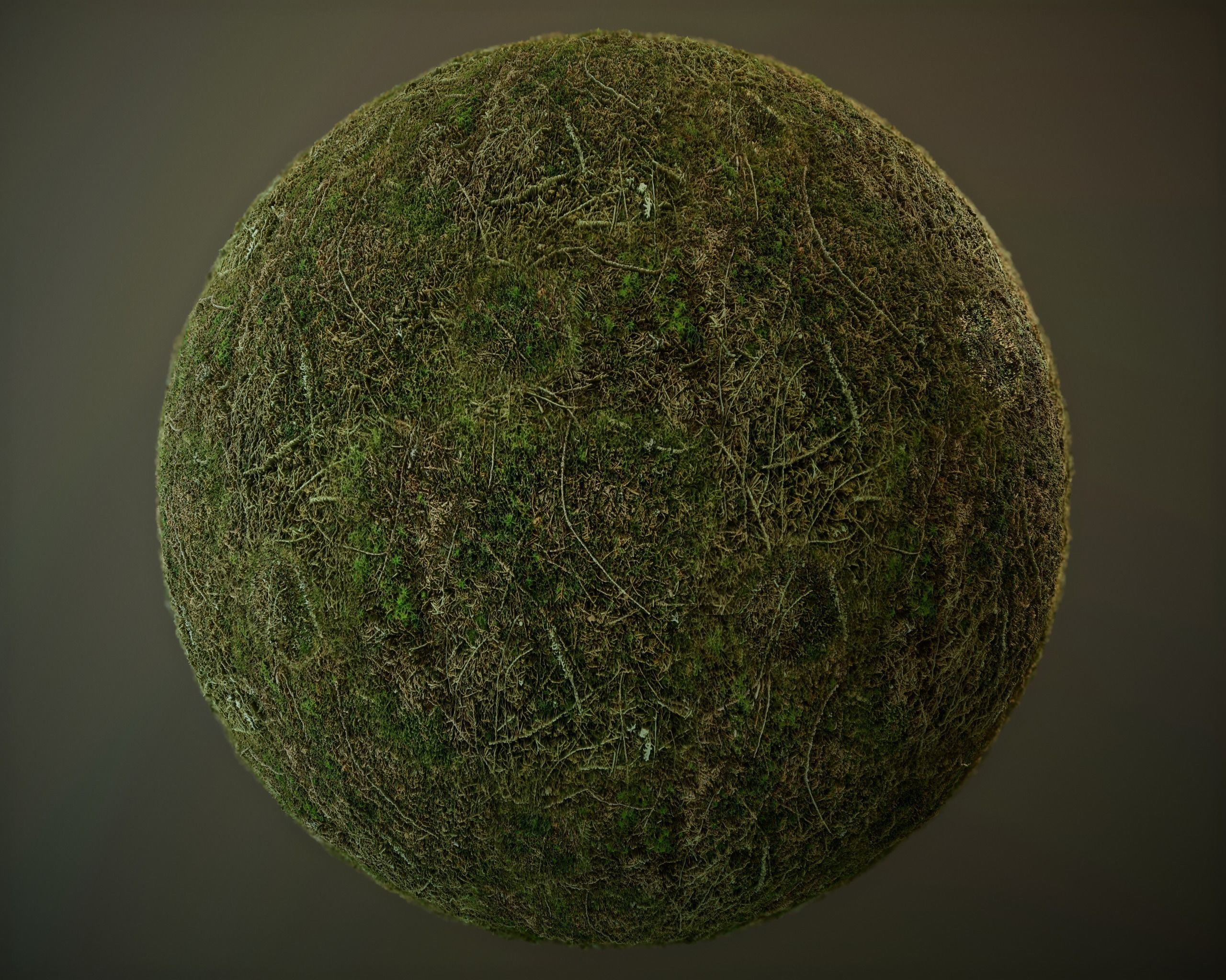 10 Seamless PBR Grass Textures Texture_6