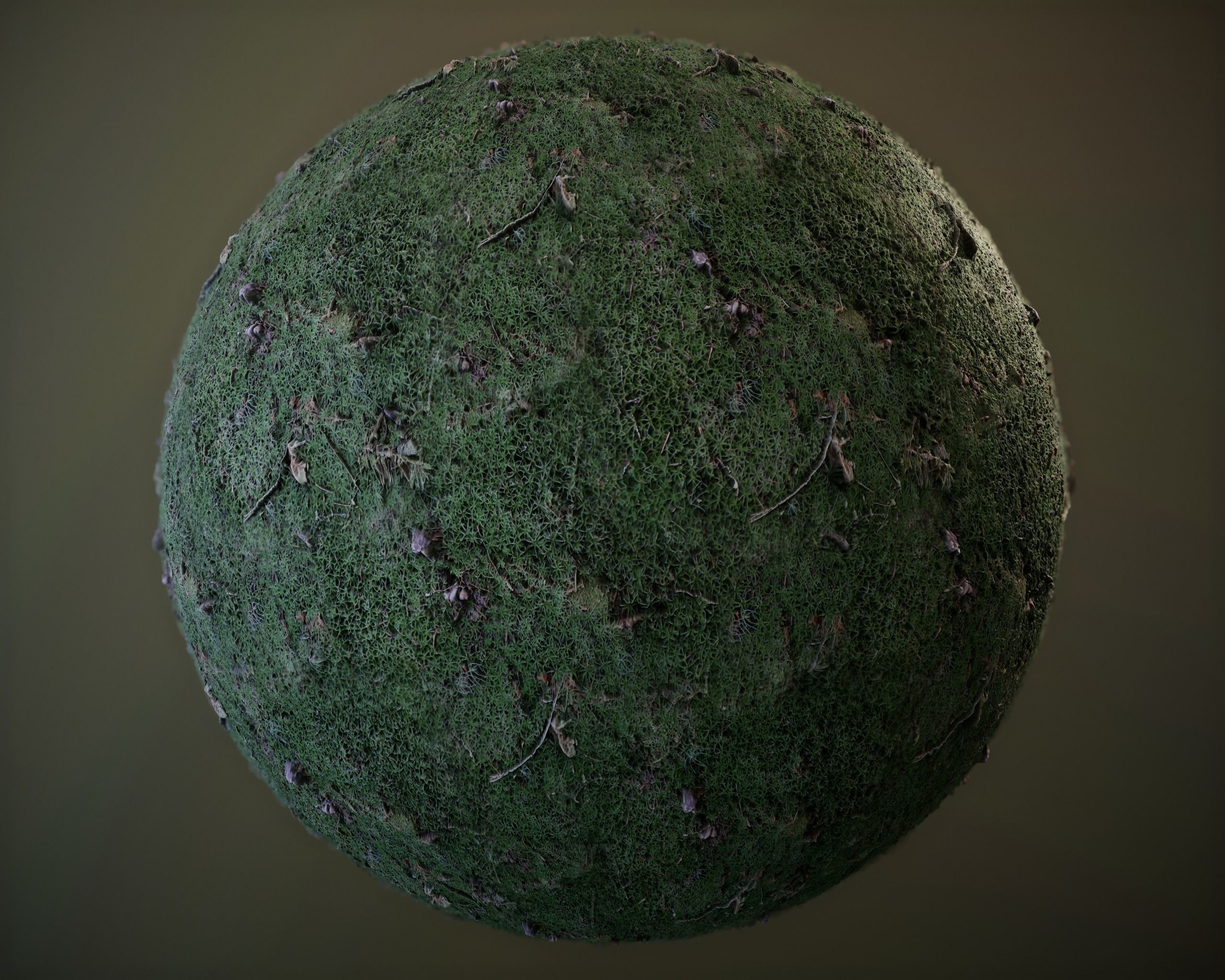 10 Seamless PBR Grass Textures Texture_10
