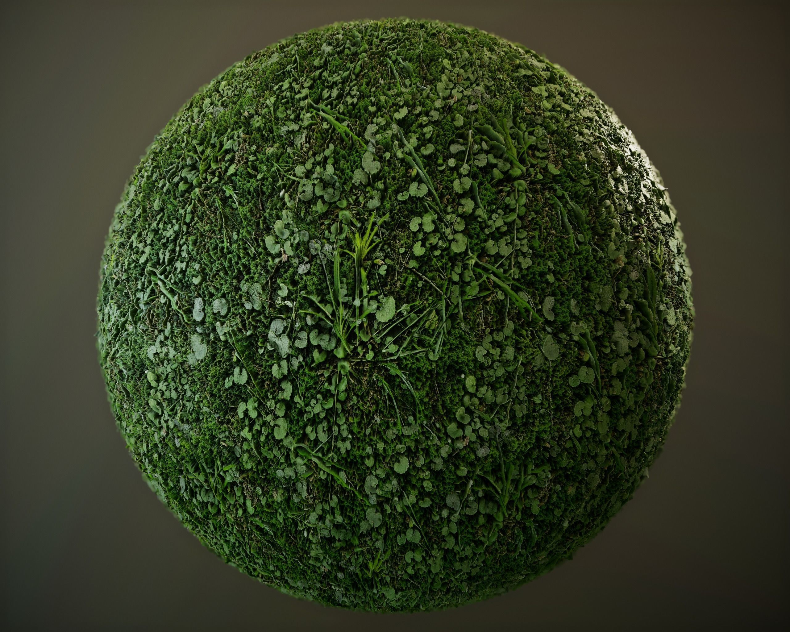 10 Seamless PBR Grass Textures Texture_2
