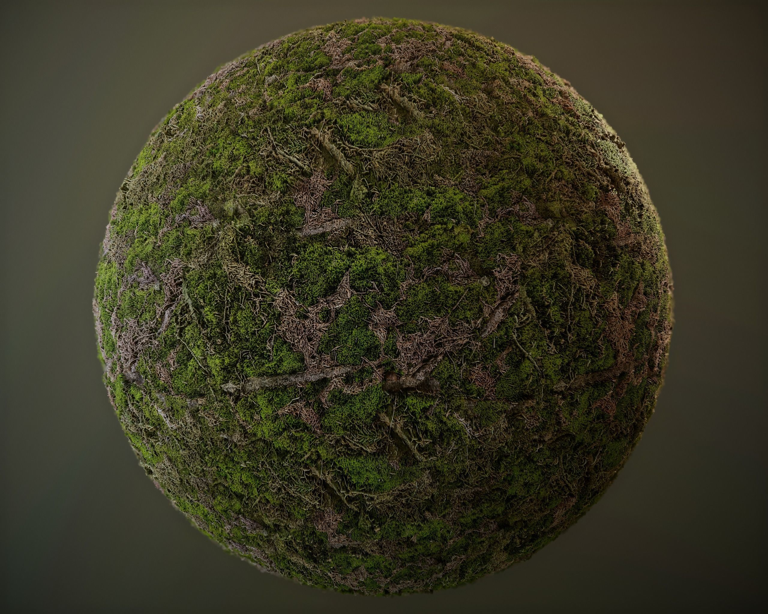 10 Seamless PBR Grass Textures Texture_7