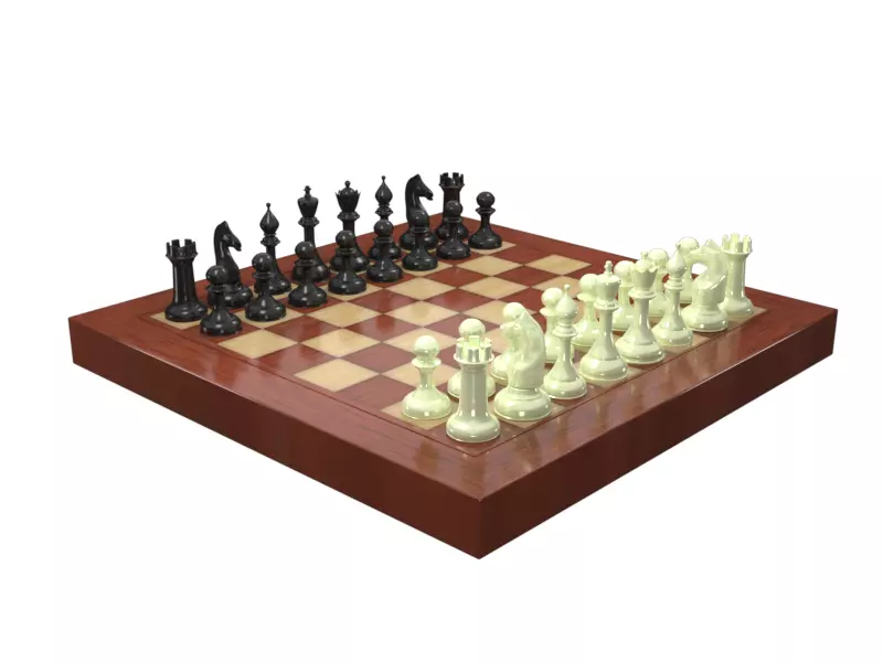 chessboard packet 3D model_0