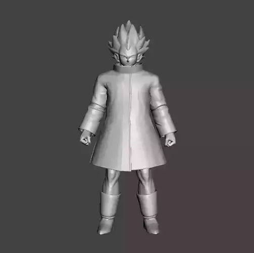 Vegeta SAB Jacket 3D Model 3D print model