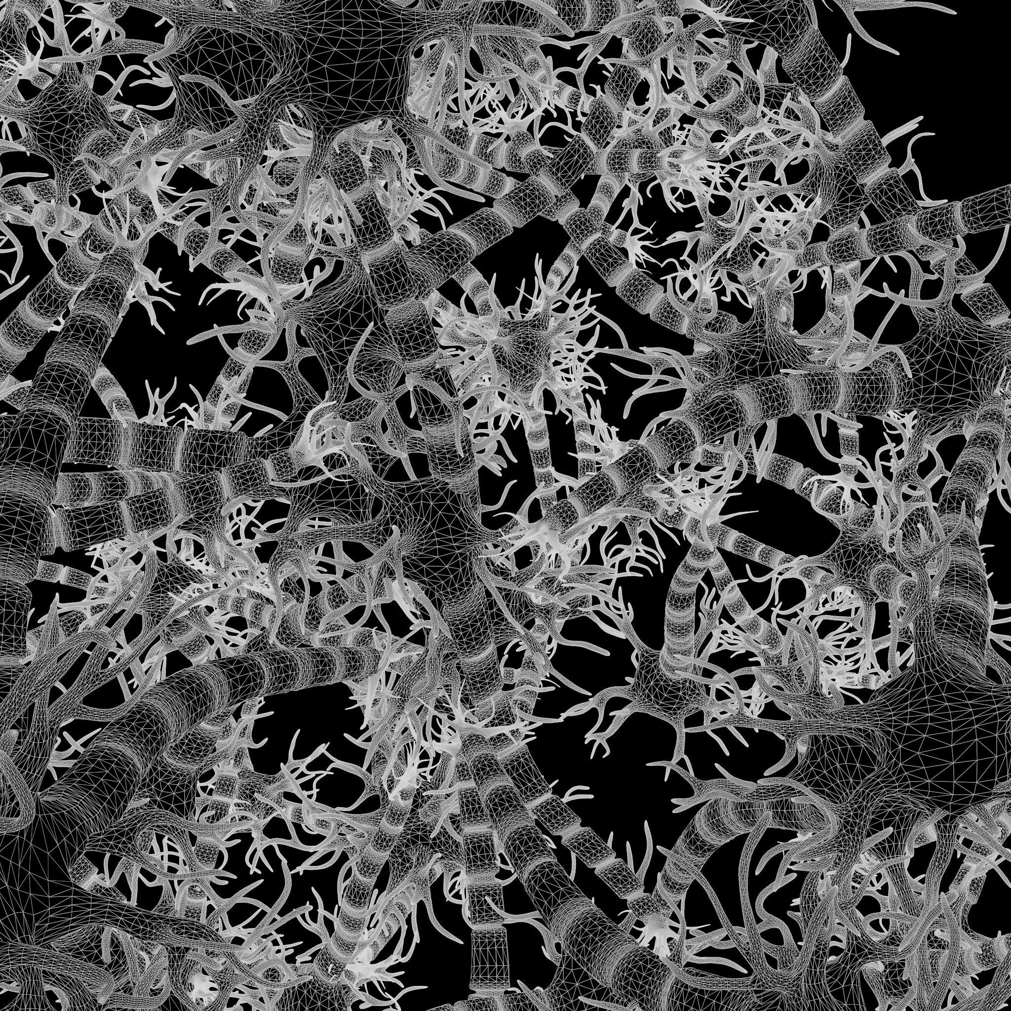 Neuron Nerve Cell Anatomy In Details 3D model_11