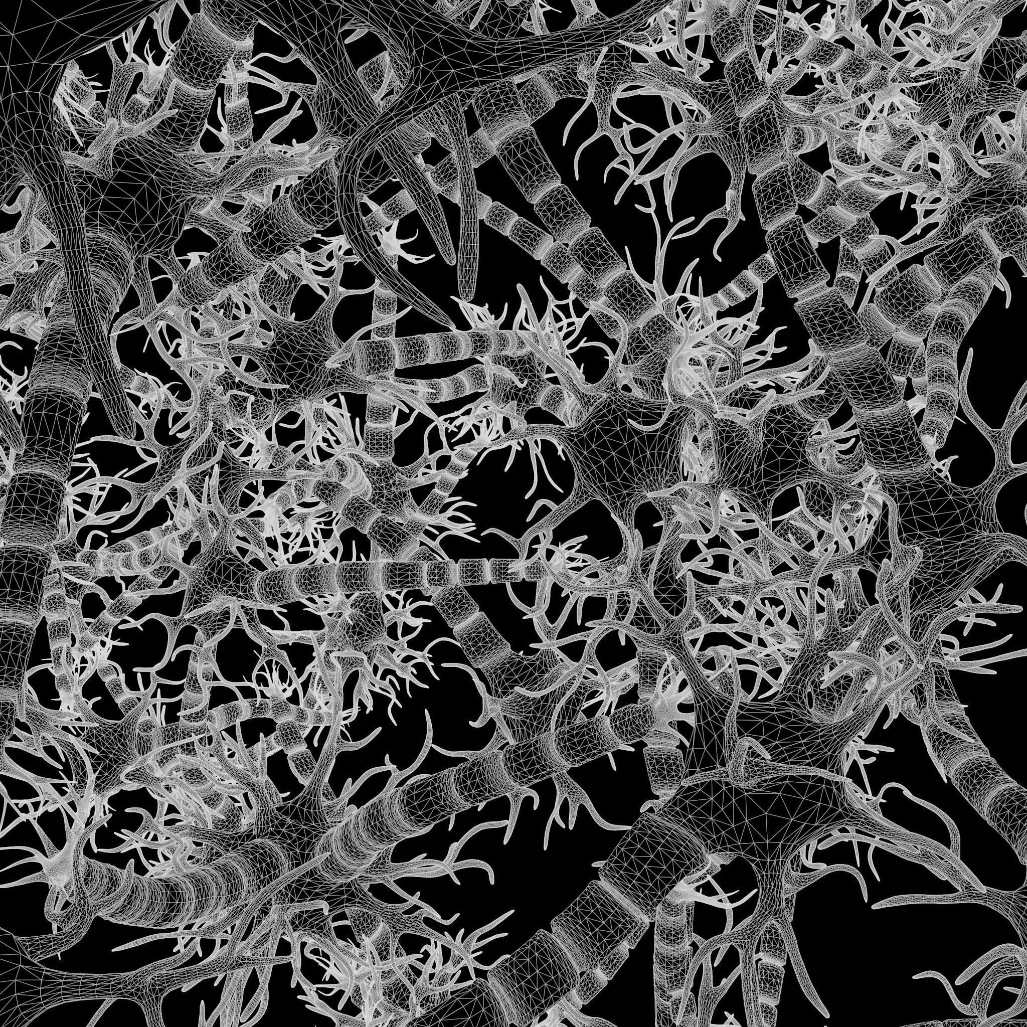 Neuron Nerve Cell Anatomy In Details 3D model_12