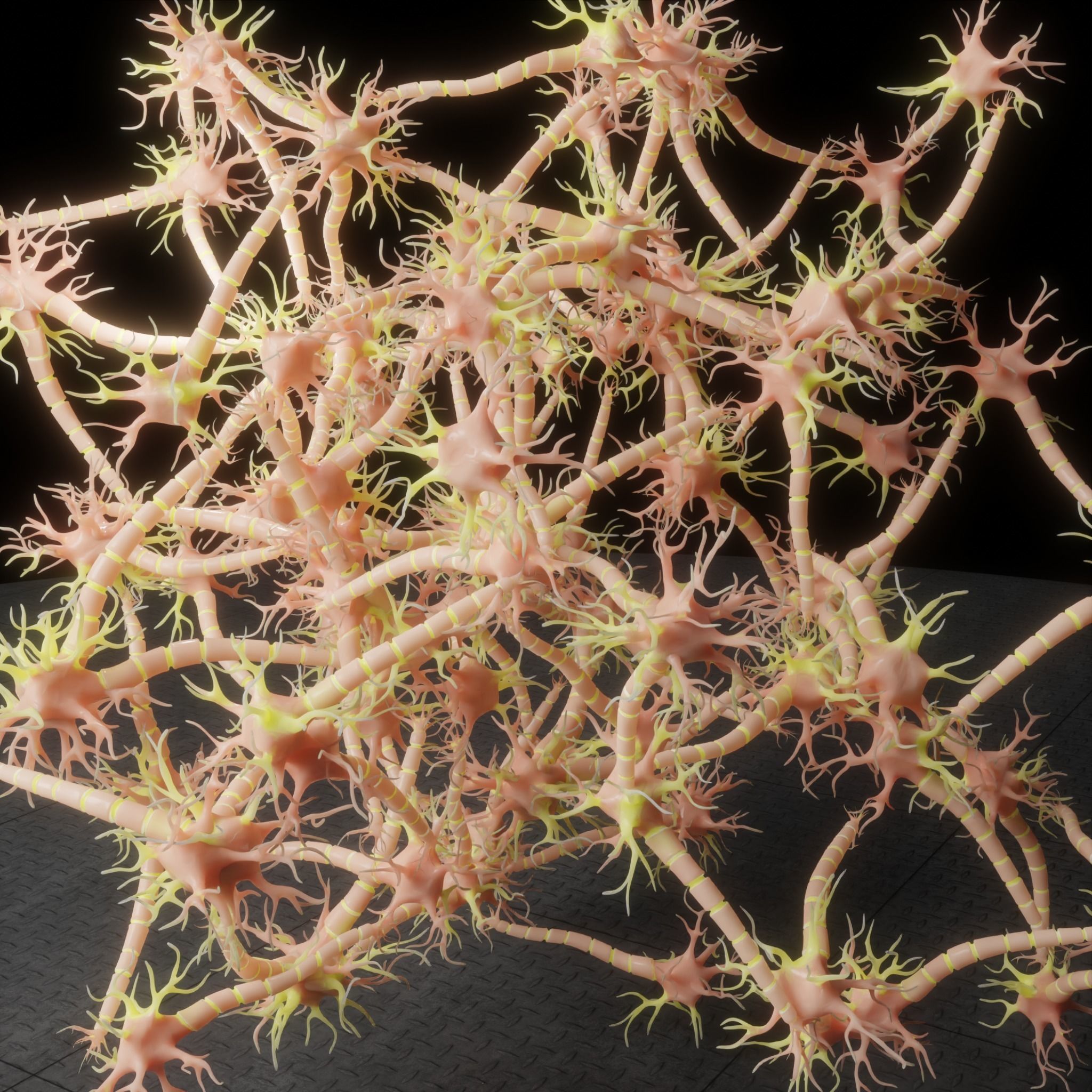 Neuron Nerve Cell Anatomy In Details 3D model_1