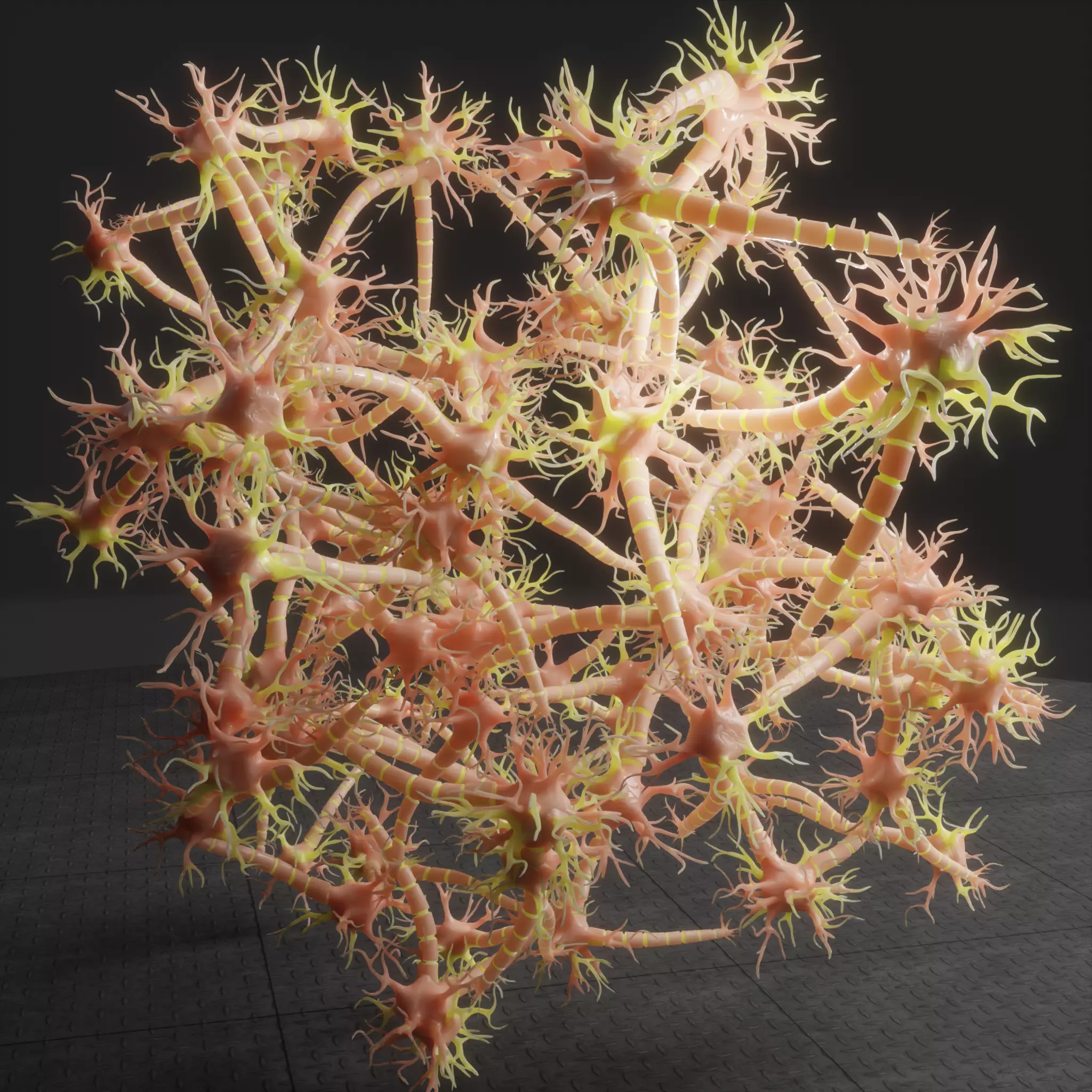 Neuron Nerve Cell Anatomy In Details 3D model_0