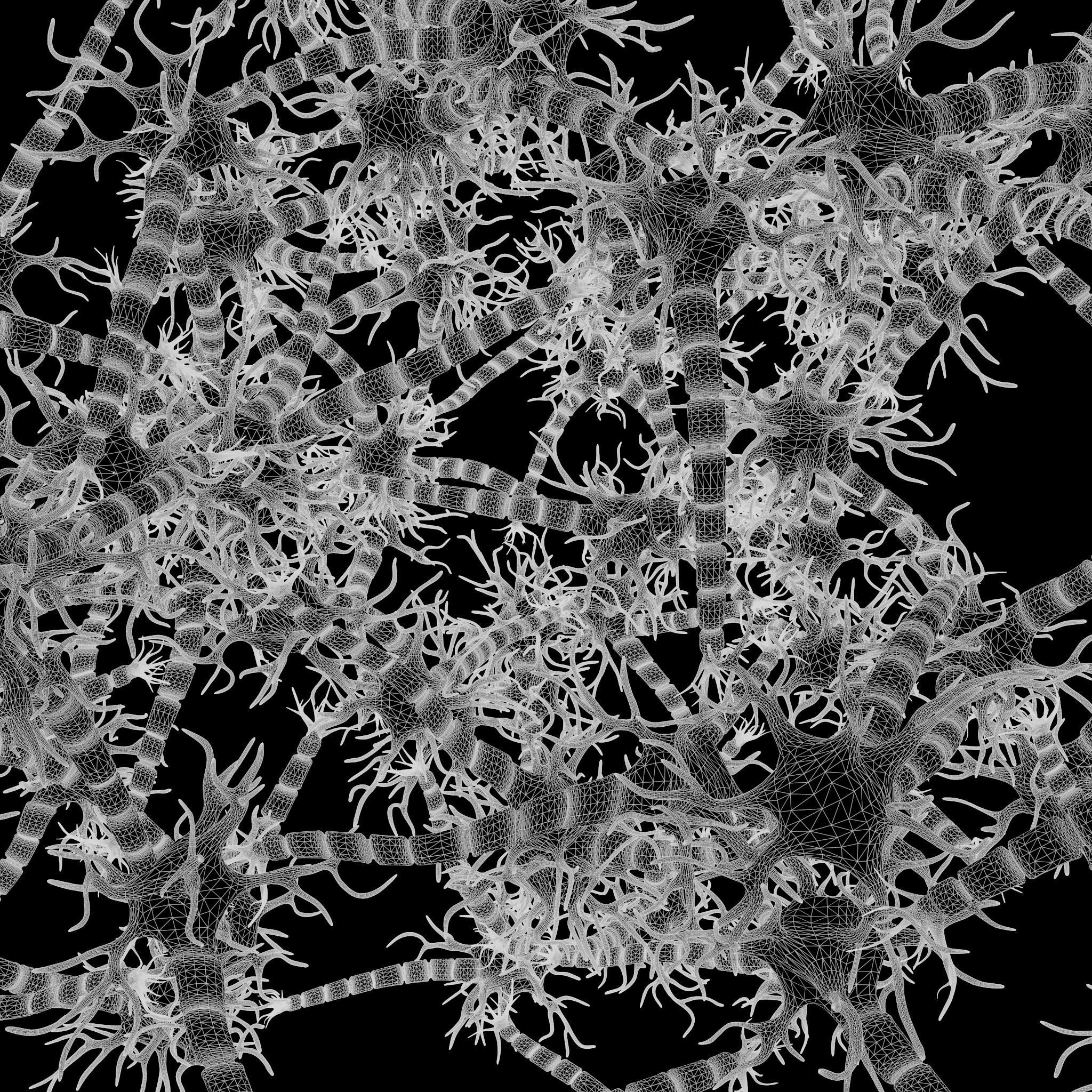 Neuron Nerve Cell Anatomy In Details 3D model_10