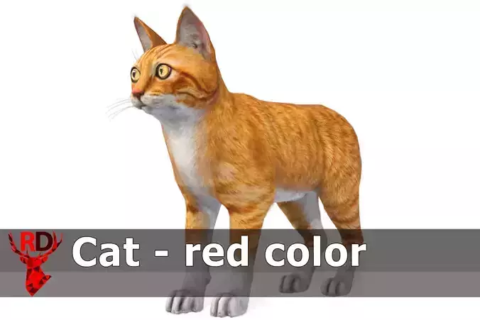 Cat - red color Low-poly 3D model
