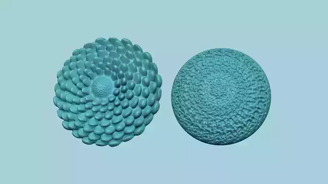 Sunflower Kernel - 02 Options - Molding Arrangement EVA Craft