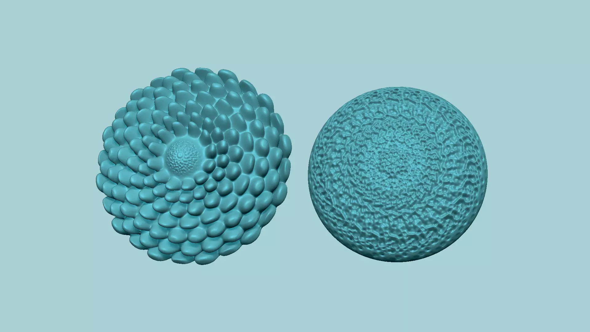 Sunflower Kernel - 02 Options - Molding Arrangement EVA Craft 3D print model