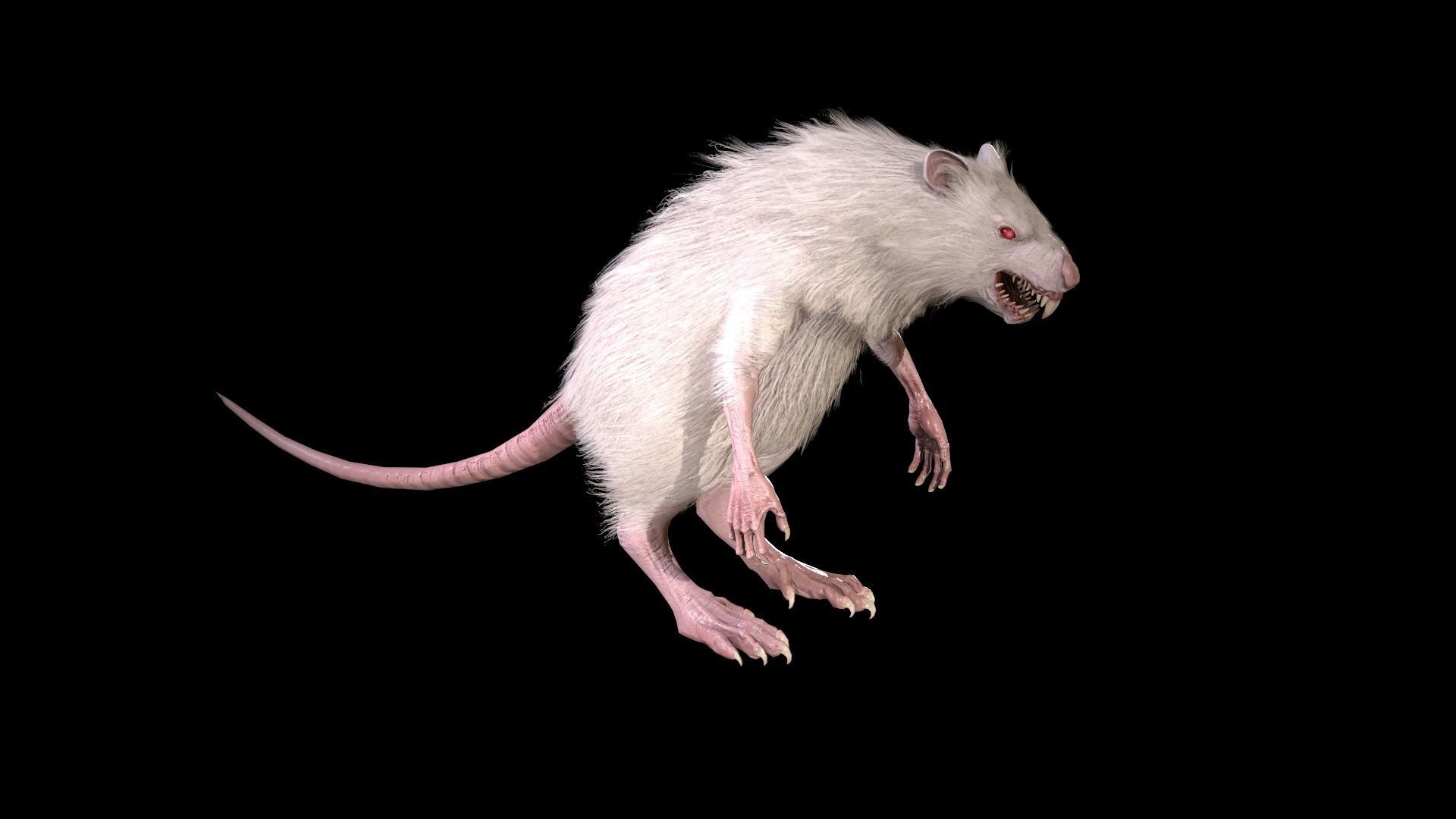 WereRat rat Low-poly 3D model_32