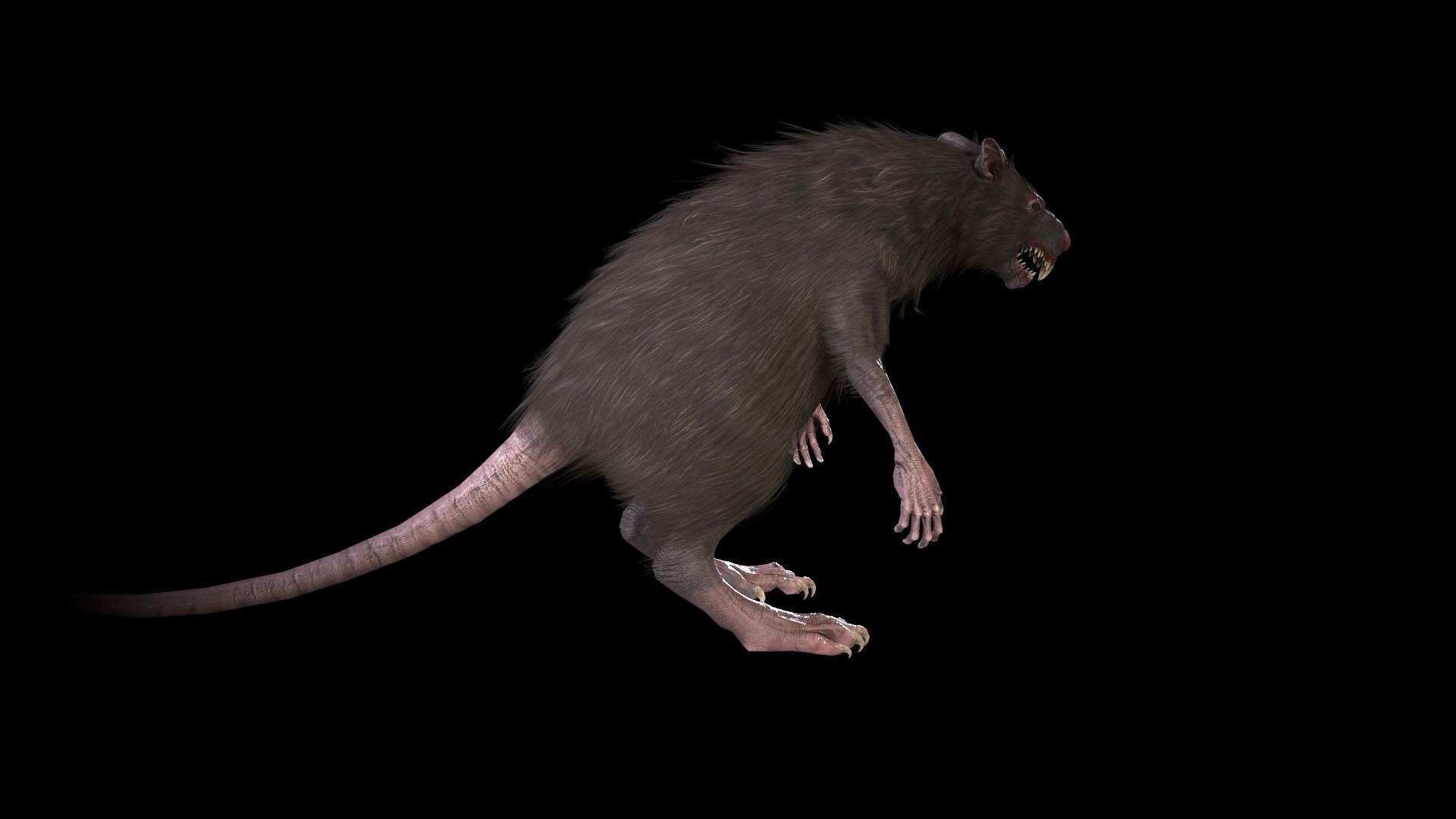 WereRat rat Low-poly 3D model_37