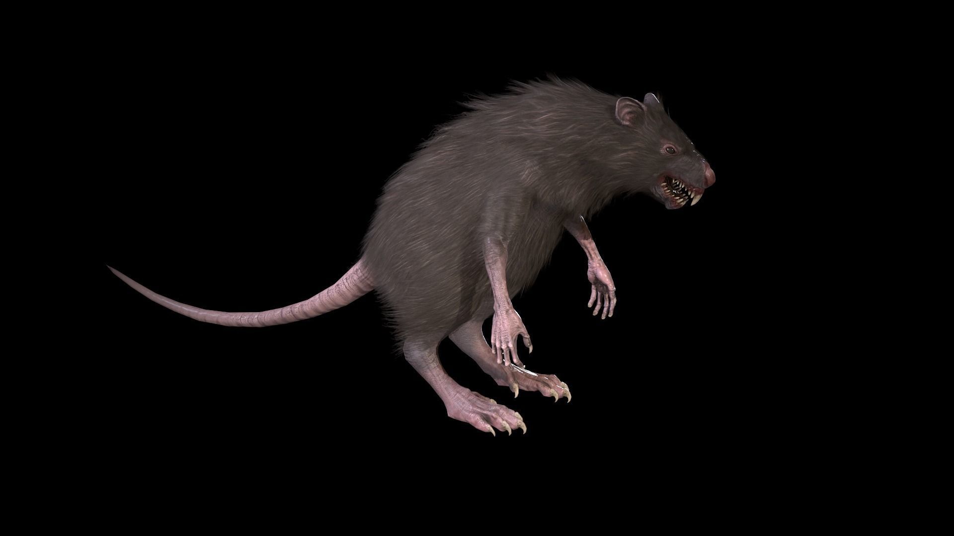 WereRat rat Low-poly 3D model_38
