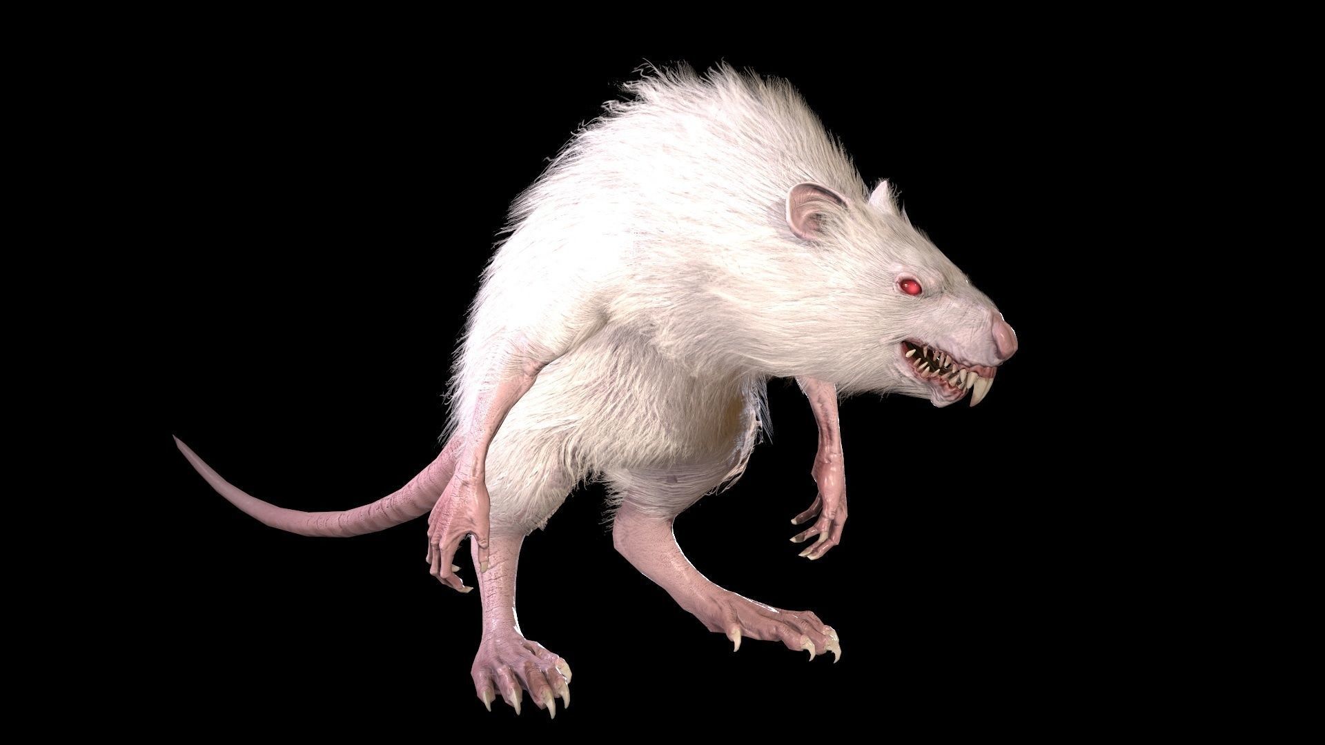 WereRat rat Low-poly 3D model_8