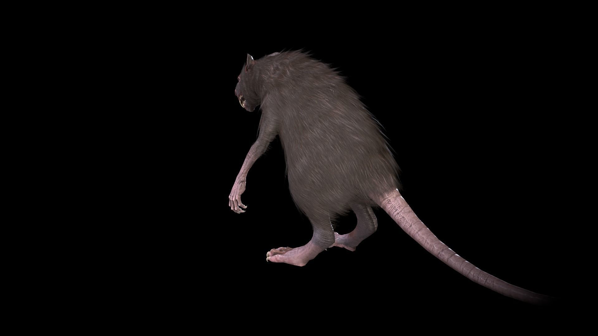 WereRat rat Low-poly 3D model_39