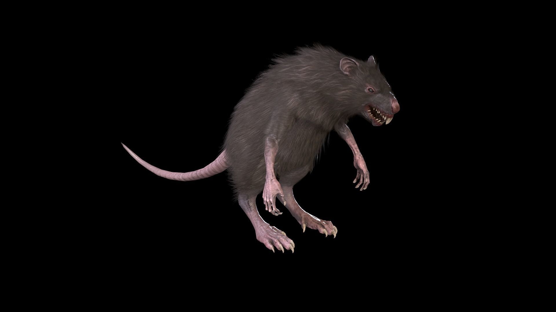 WereRat rat Low-poly 3D model_36