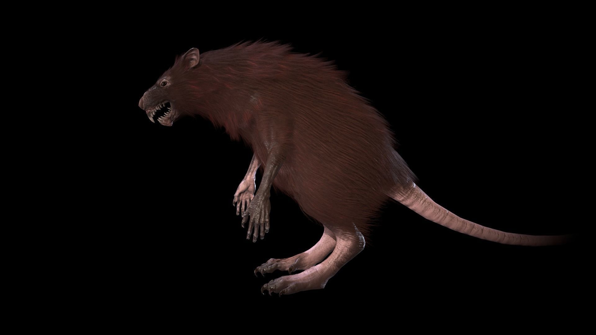 WereRat rat Low-poly 3D model_44
