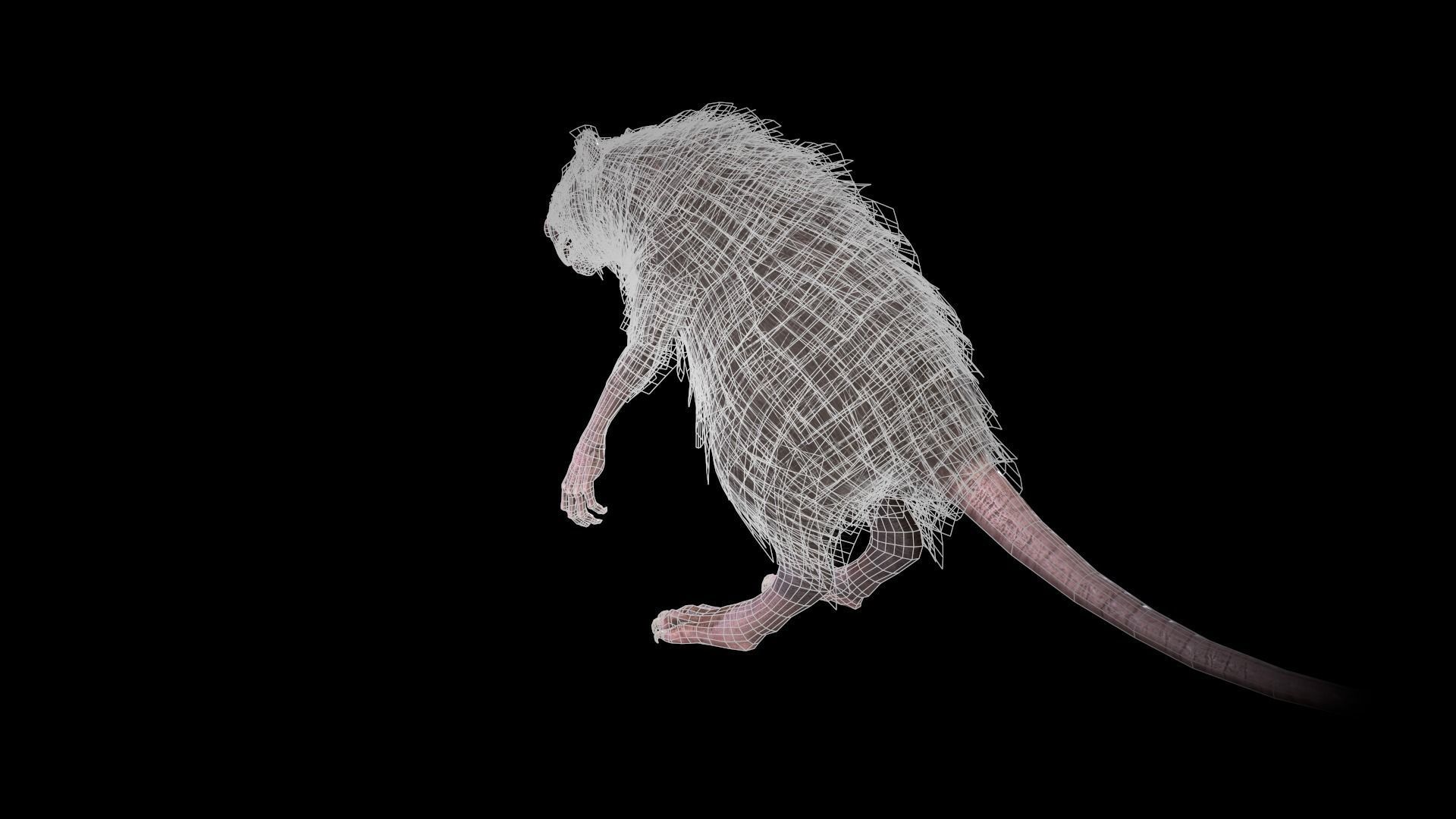 WereRat rat Low-poly 3D model_40