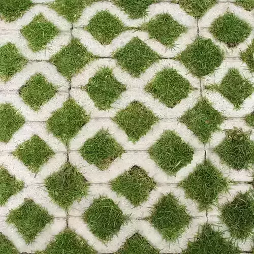 arquitectura geometric pattern of grass