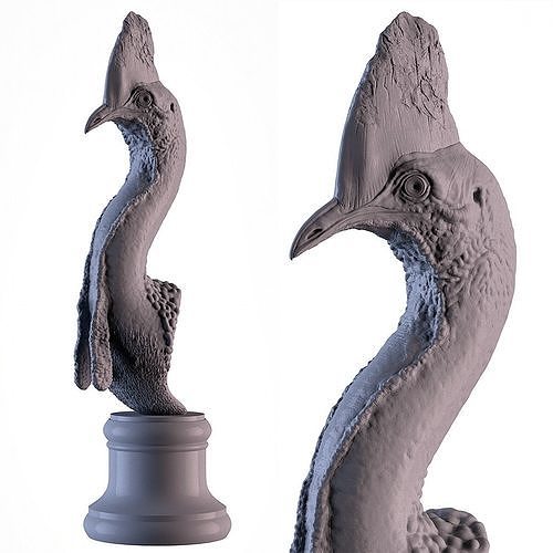 Cassowary sculpture of whale 3D print model