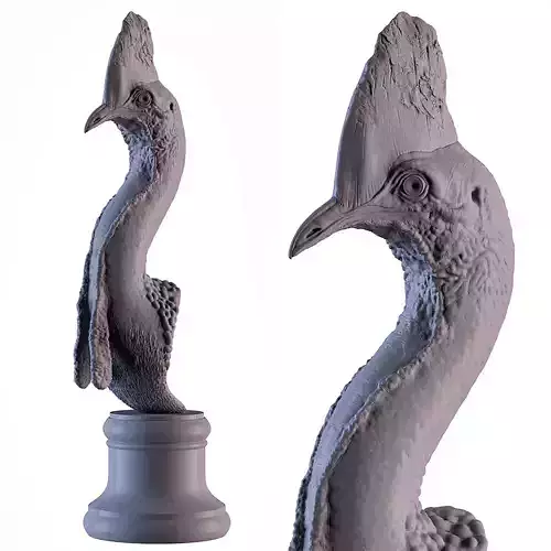 Cassowary sculpture of whale