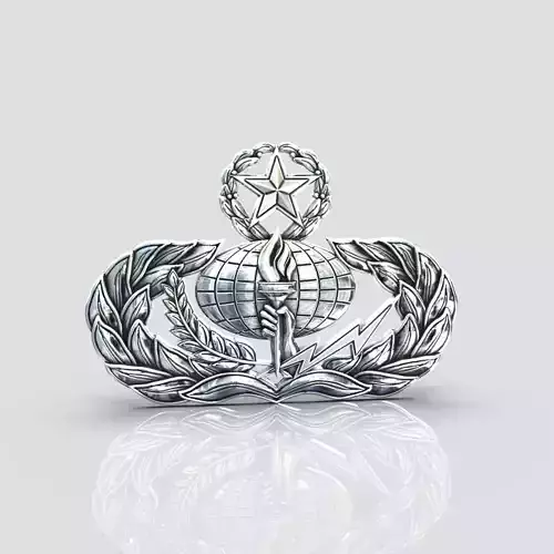  Air force service badge 