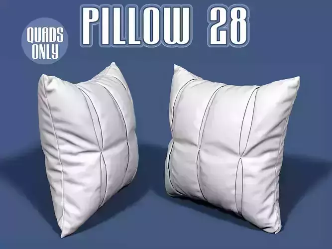 Pillow 28