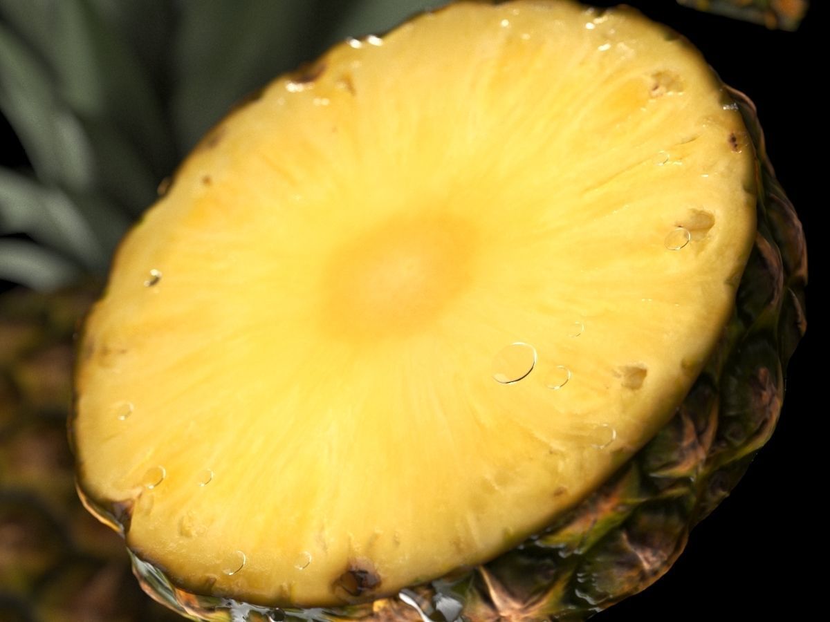 Pineapple choped sliced sectors 3D model_2