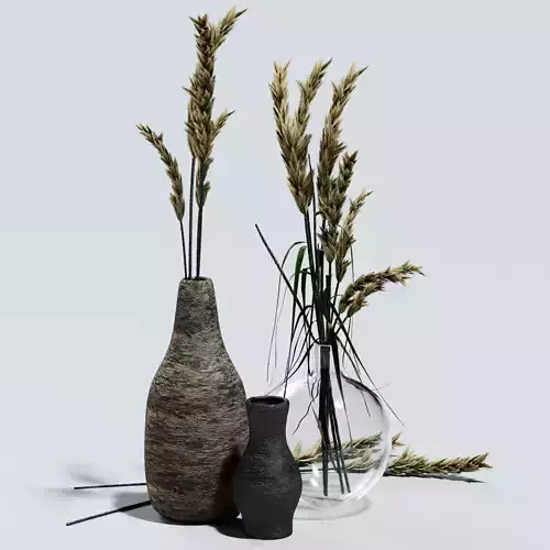 dried flowers in vase