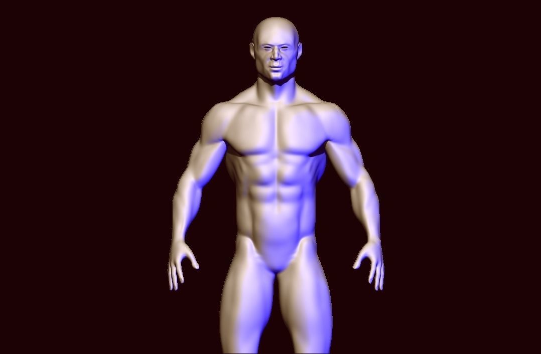 base mesh anatomy  Low-poly 3D model_5