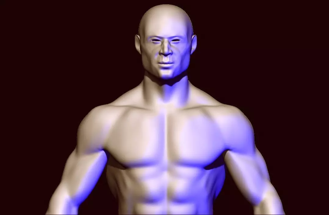 base mesh anatomy  Low-poly 3D model_0