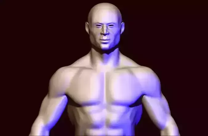 base mesh anatomy  Low-poly 3D model