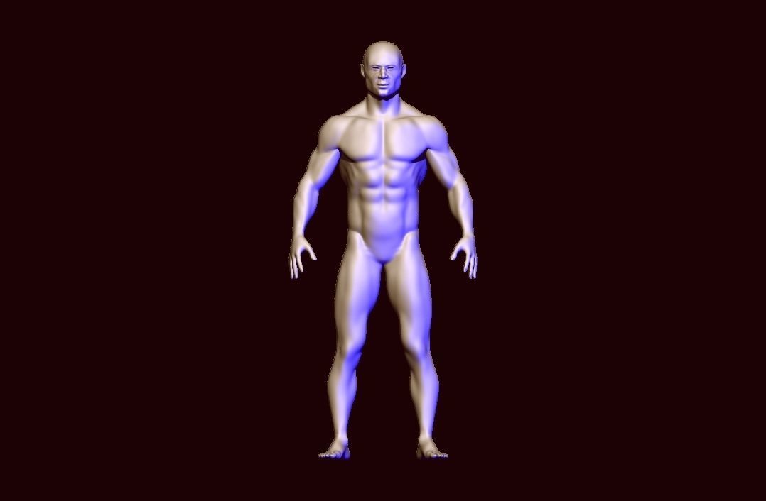 base mesh anatomy  Low-poly 3D model_11