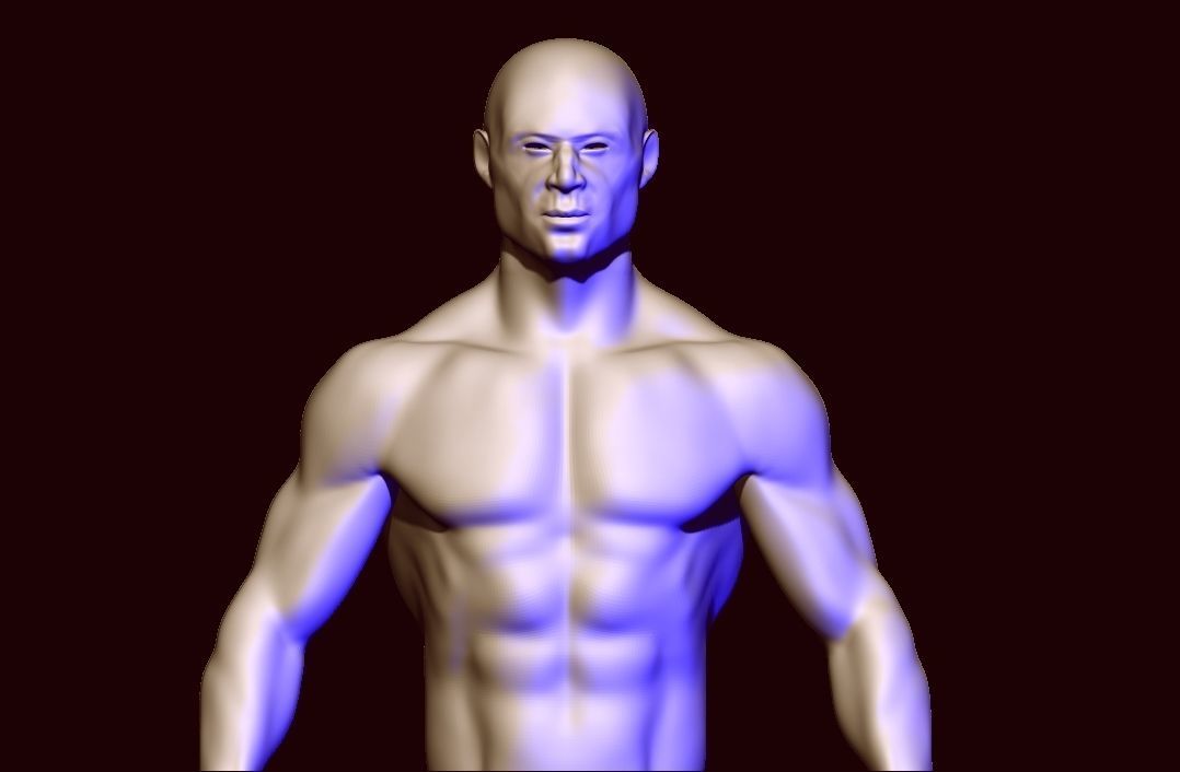 base mesh anatomy  Low-poly 3D model_7