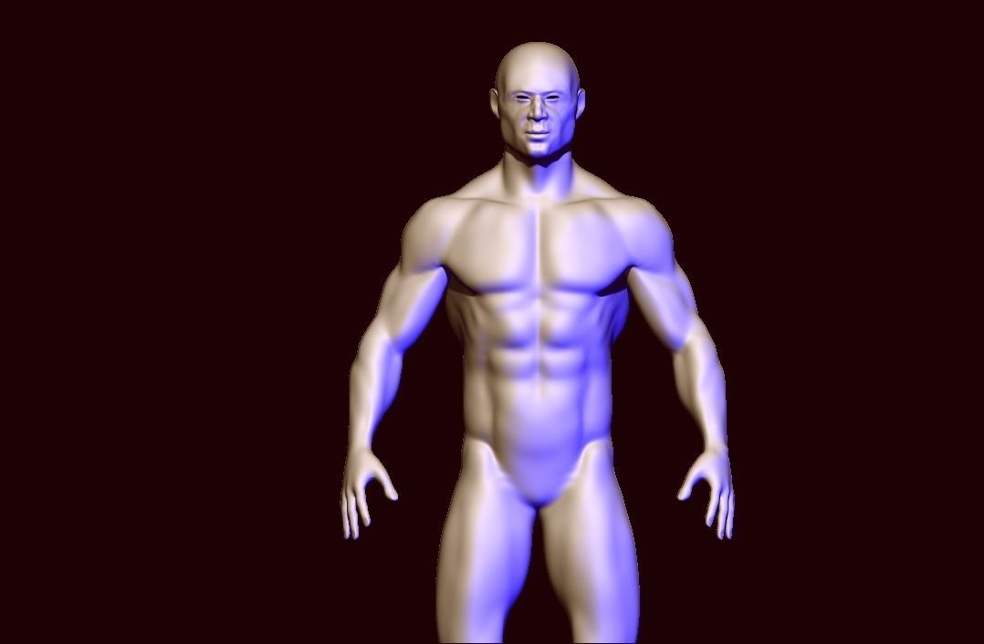 base mesh anatomy  Low-poly 3D model_2